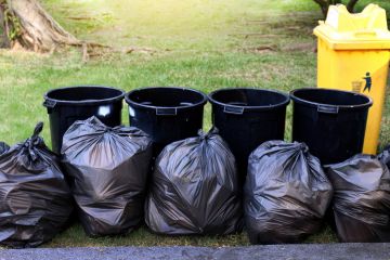Yard Waste Removal in Windsor