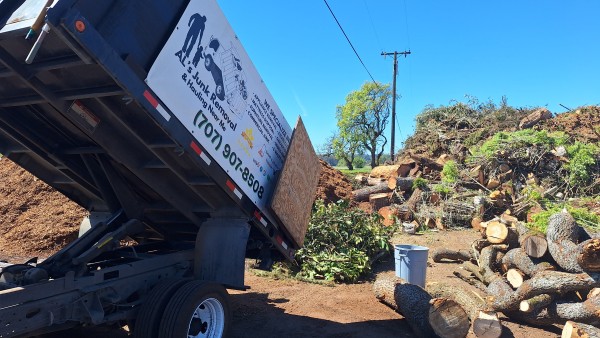 Yard Waste Removal