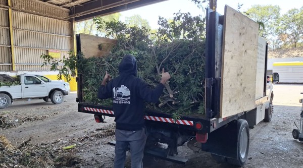 Yard Waste Removal in Santa Rosa, CA (1)
